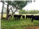 Lot 4 Johnstons Road, Mannuem QLD 4610