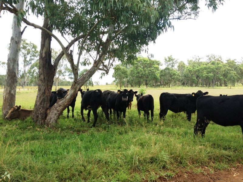 Lot 4 Johnstons Road, Mannuem QLD 4610