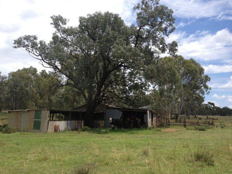 Lot 4 Johnstons Road, Mannuem QLD 4610