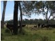 Lot 4 Johnstons Road, Mannuem QLD 4610