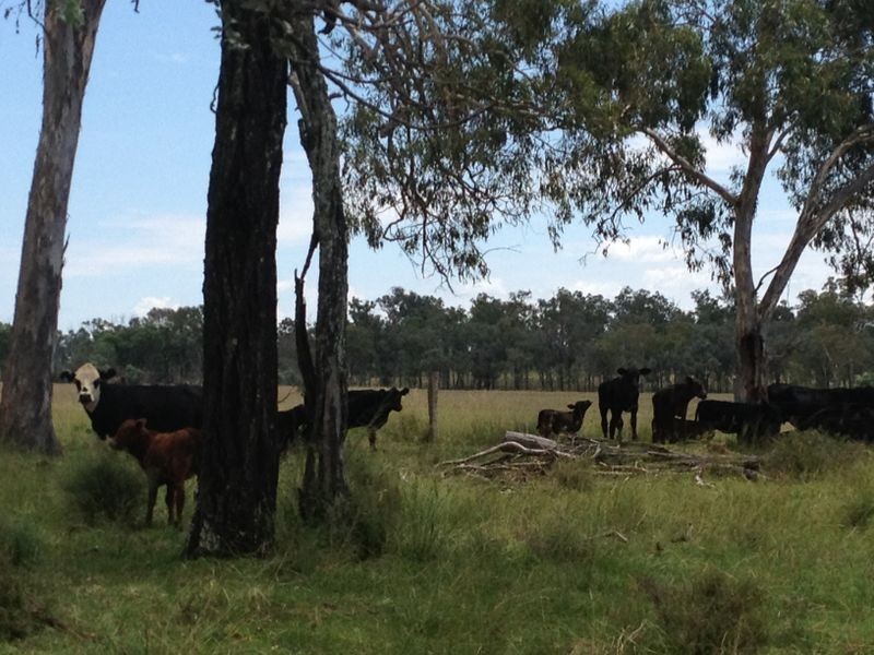 Lot 4 Johnstons Road, Mannuem QLD 4610