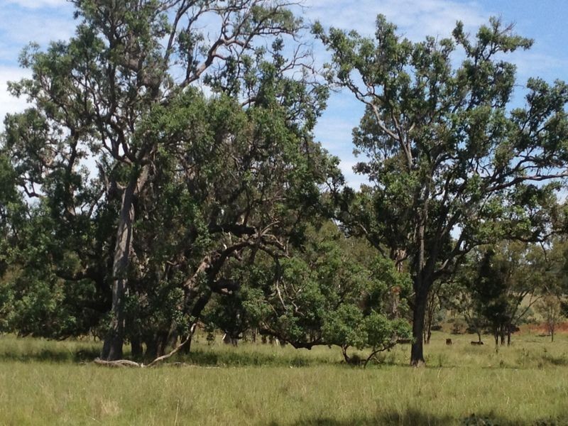 Lot 4 Johnstons Road, Mannuem QLD 4610
