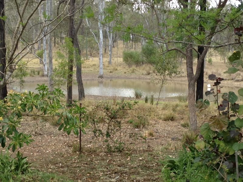 143 Franklins Road, Wattle Camp QLD 4615