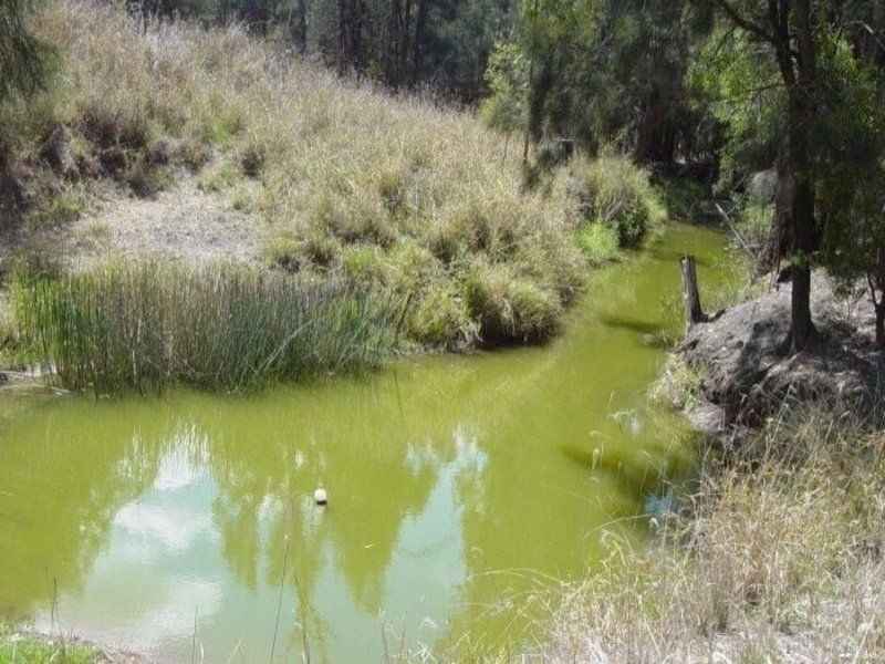 2156 Brigooda Road, Brigooda QLD 4613