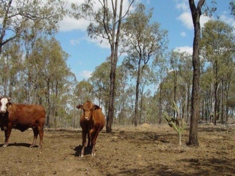 2156 Brigooda Road, Brigooda QLD 4613