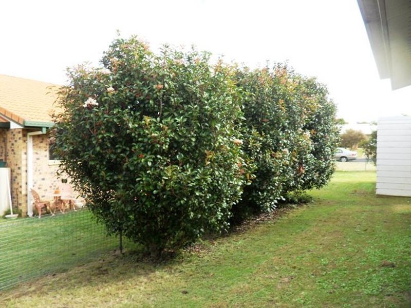 20 Windsor Circle, Kingaroy QLD 4610