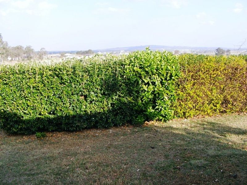 22 Bridget Carroll Road, Kingaroy QLD 4610