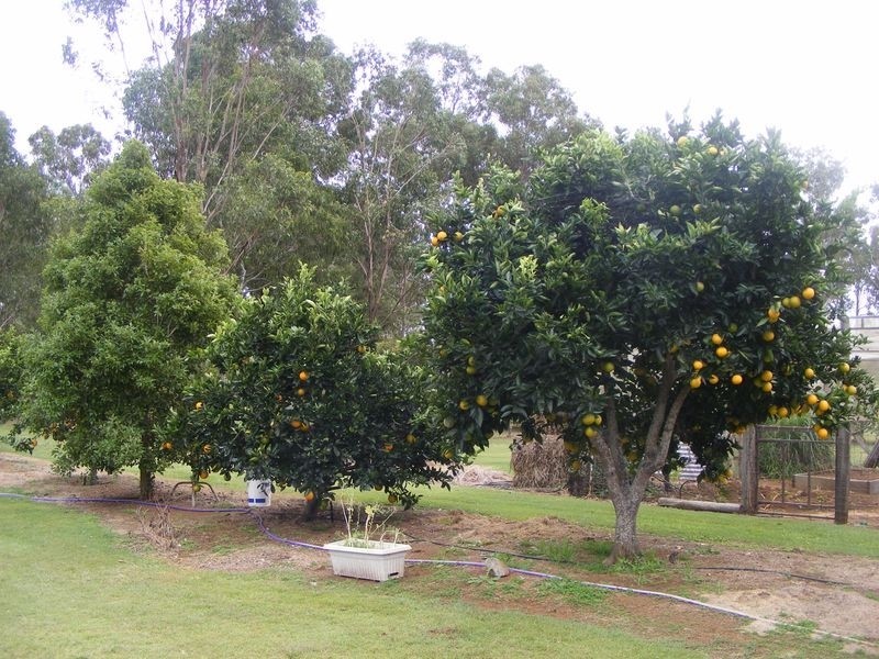 Taabinga QLD 4610