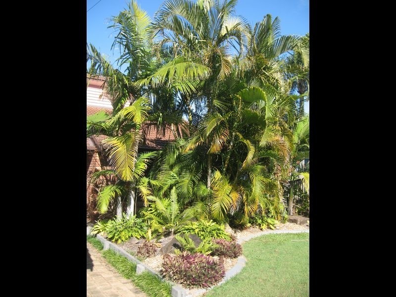 8 Wistaria Avenue, Southport QLD 4215