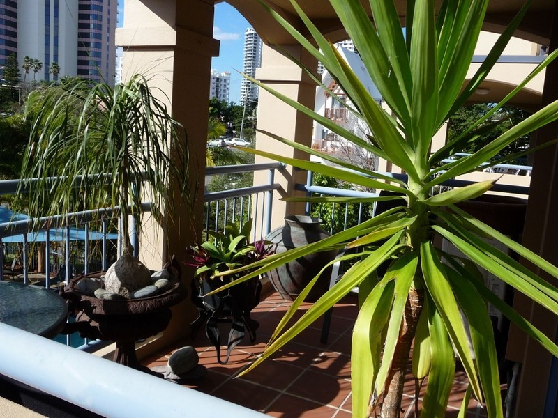 Surfers Paradise QLD 4217