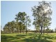 31 Bunderoo Circuit, Pimpama QLD 4209