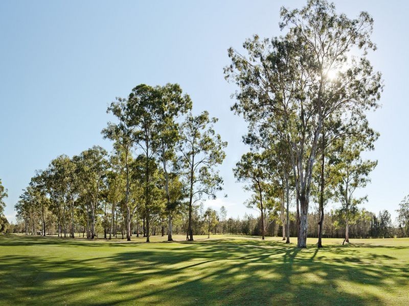 31 Bunderoo Circuit, Pimpama QLD 4209