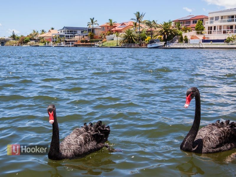 45 Portobello Drive, Mermaid Waters QLD 4218