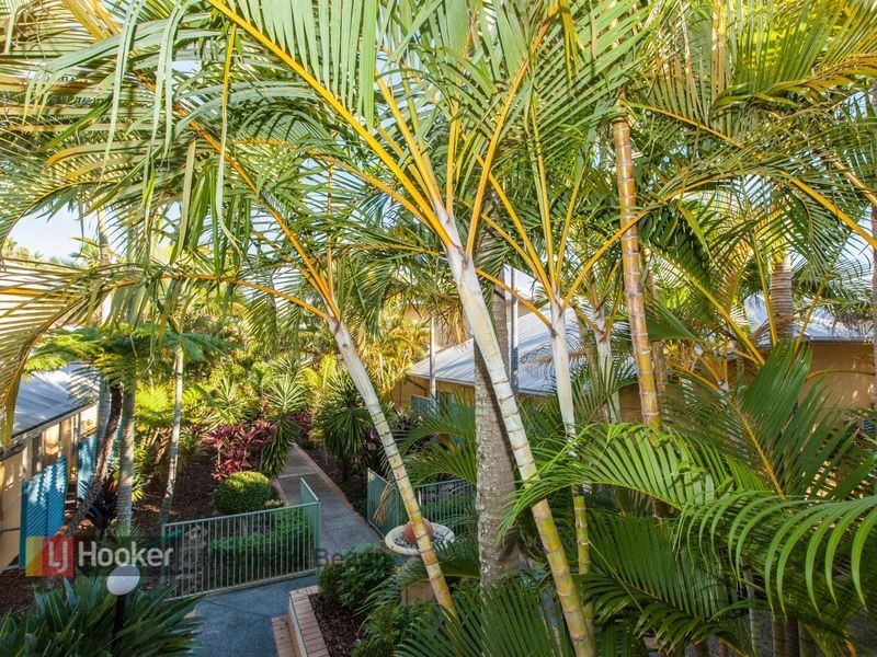 74/2320 Gold Coast Highway, Mermaid Beach QLD 4218