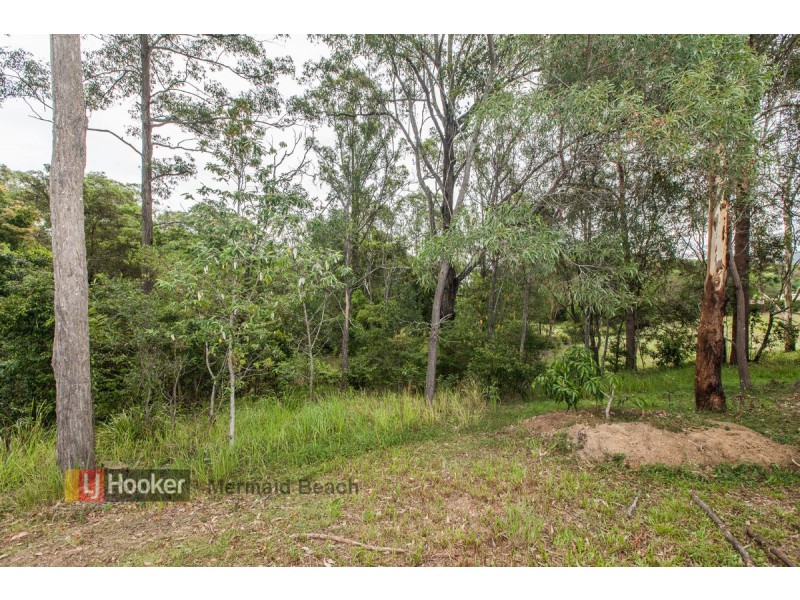 25 Bahkeeta Street, Oxenford QLD 4210