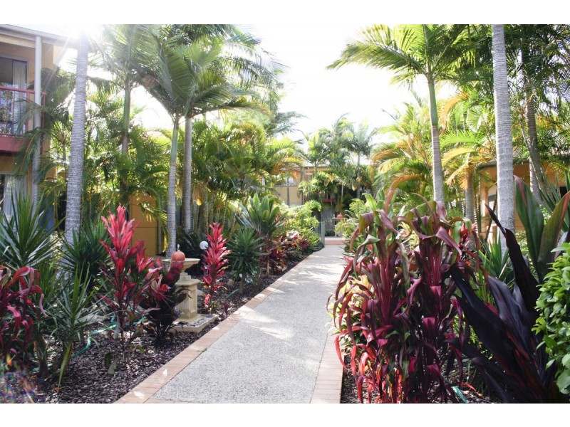 5/2320 Gold Coast Highway, Mermaid Beach QLD 4218