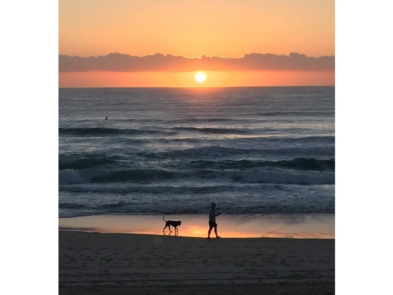 18/2 Fraser Avenue, Miami QLD 4220