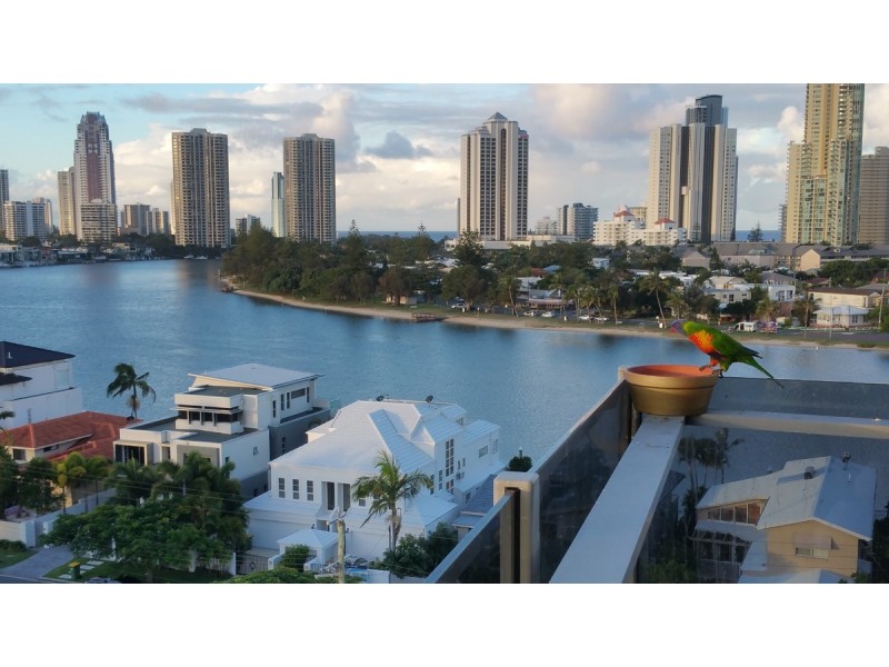 55/53 Darrambal Street, Chevron Island QLD 4217