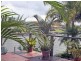 2 Salamander Street, Mermaid Waters QLD 4218