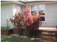 342 Orange Grove Rd, Salisbury QLD 4107