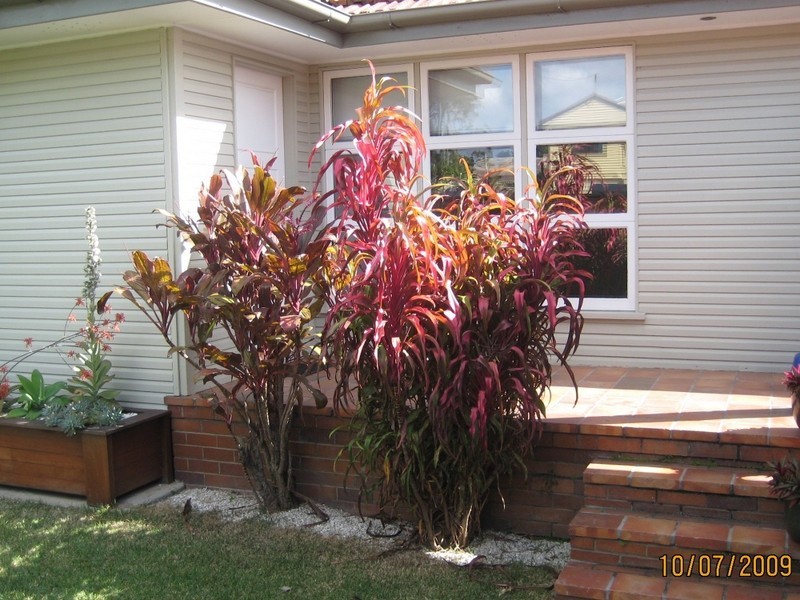 342 Orange Grove Rd, Salisbury QLD 4107