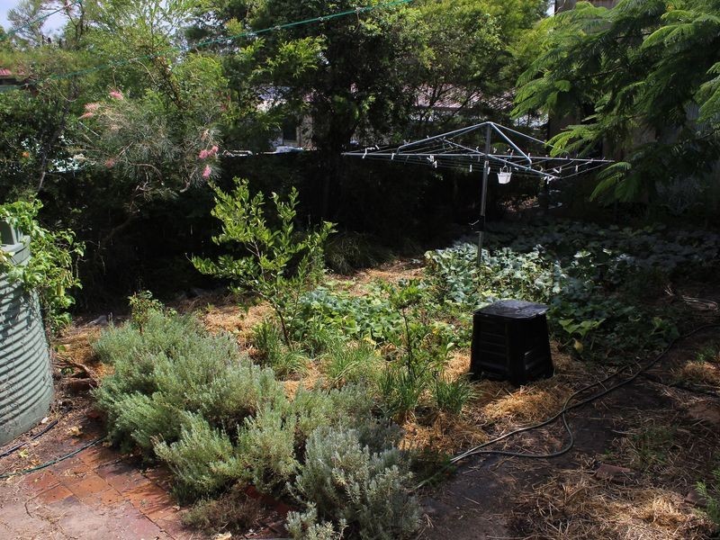 43 Bidder Street, Salisbury QLD 4107