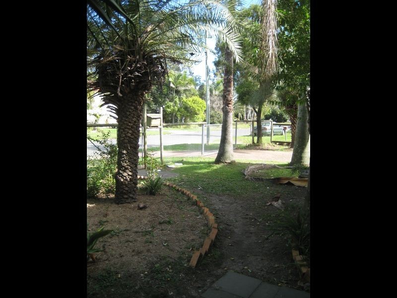 16 Evenwood Street, Coopers Plains QLD 4108