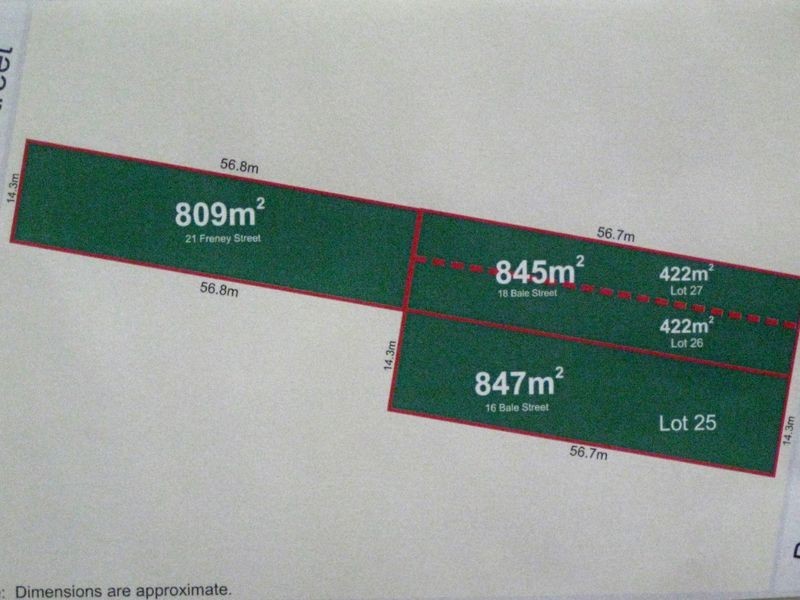 21 Freney St, Rocklea QLD 4106