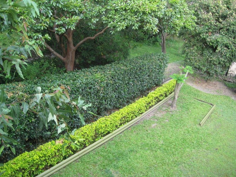 40 Beverley Hill Street, Moorooka QLD 4105