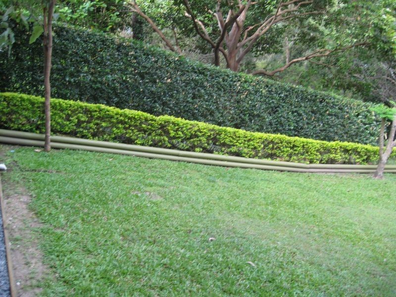 40 Beverley Hill Street, Moorooka QLD 4105