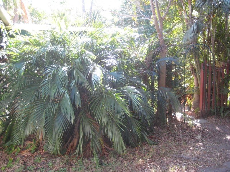 89 Kellett St, Salisbury QLD 4107