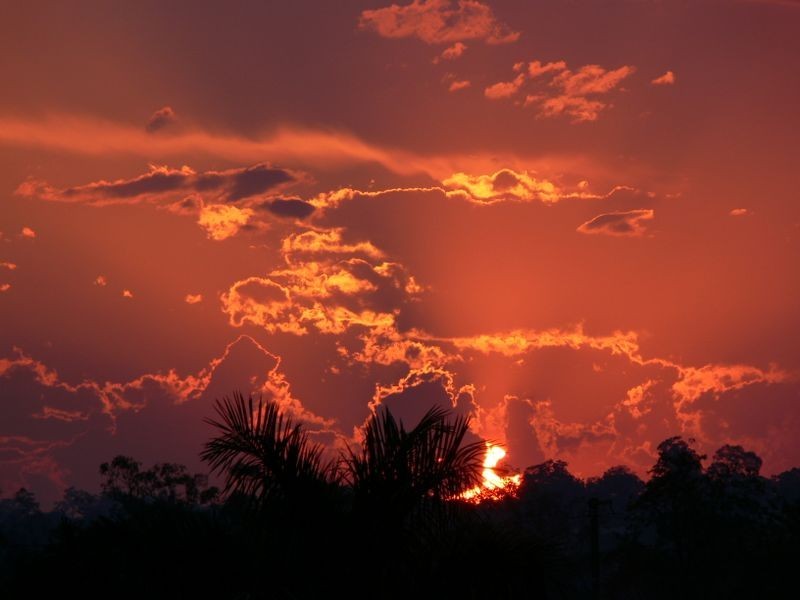 41 Hemsworth St, Acacia Ridge QLD 4110