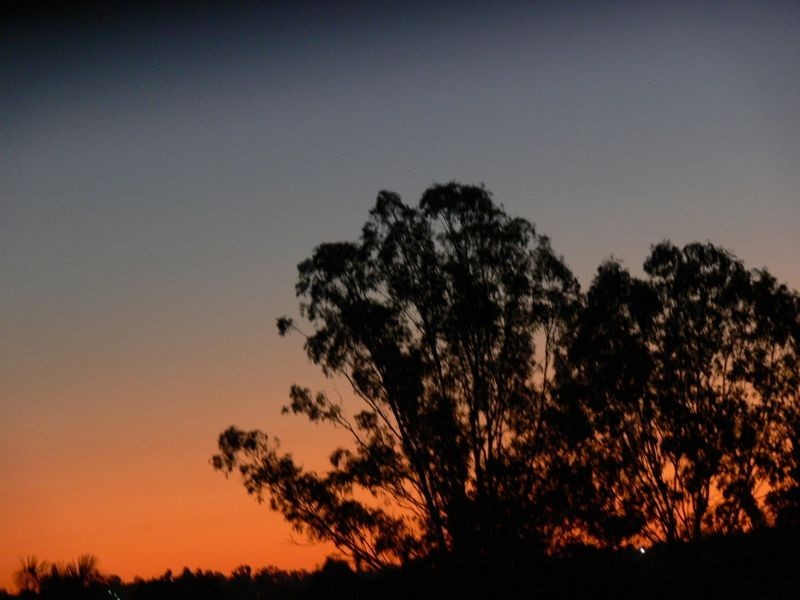 41 Hemsworth St, Acacia Ridge QLD 4110