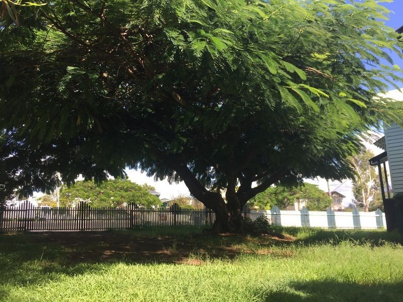 54 Beaudesert Road, Moorooka QLD 4105