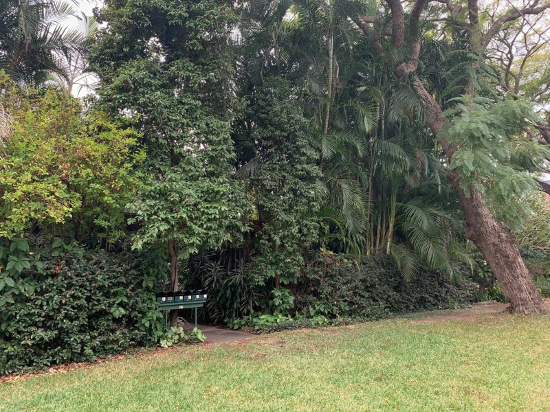 5/29 Pring Street, Tarragindi QLD 4121