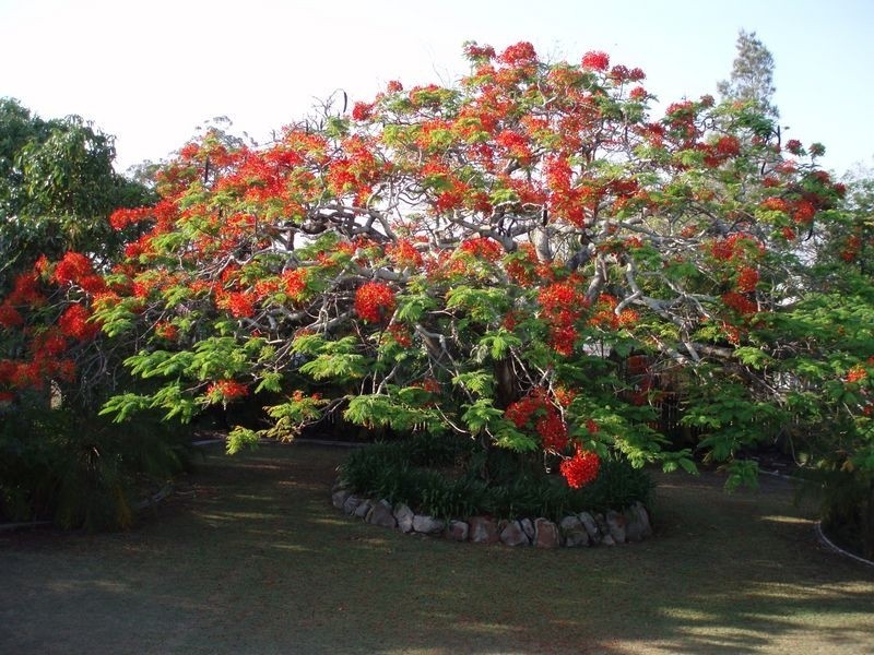 19 Nicholson Ave, Salisbury QLD 4107