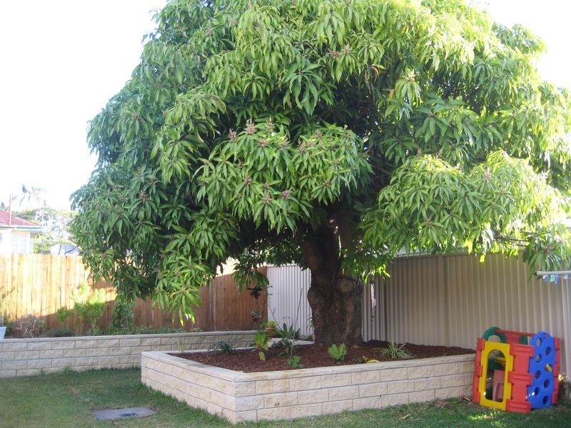 169 Douglas Rd, Salisbury QLD 4107
