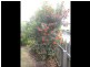 15 Monkton, Tarragindi QLD 4121