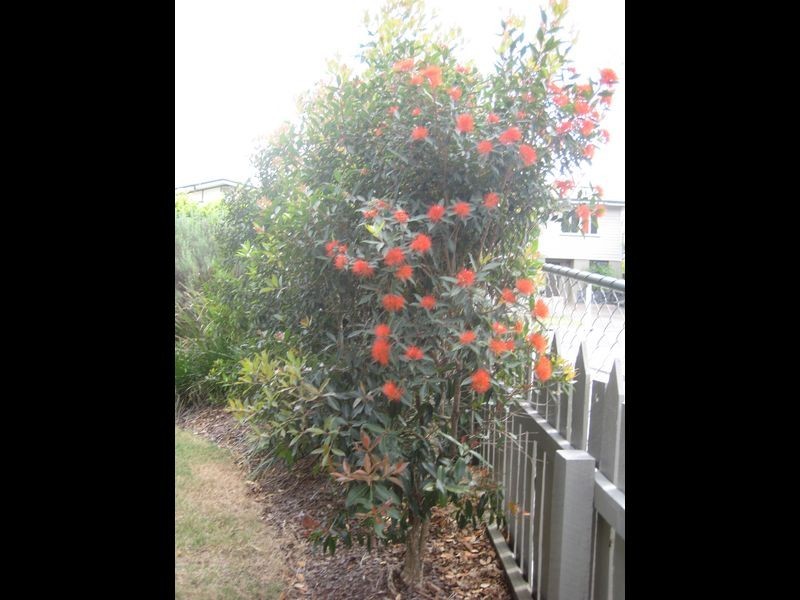 15 Monkton, Tarragindi QLD 4121