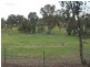 1 Racecreek Road, Young NSW 2594
