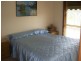 1 Racecreek Road, Young NSW 2594