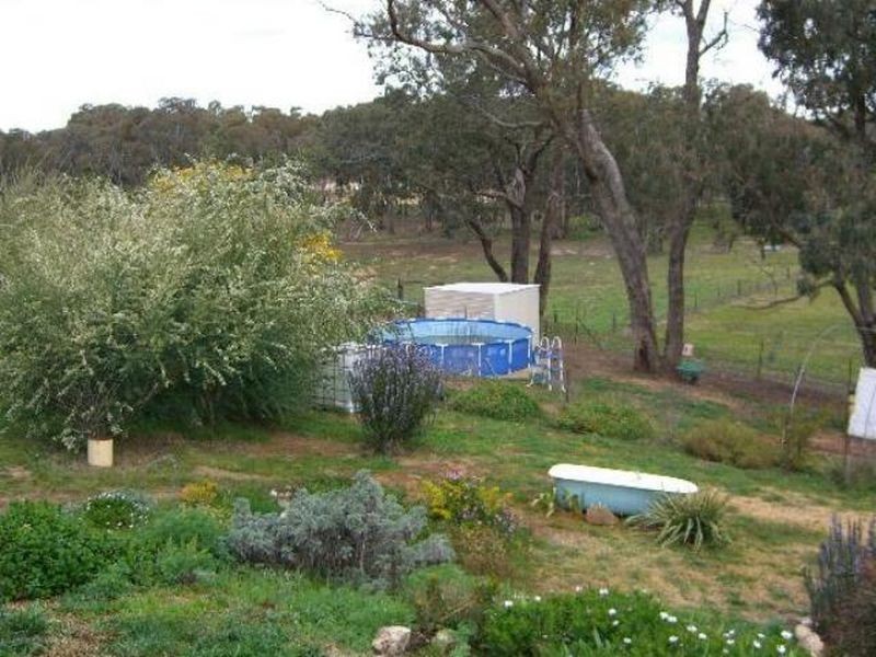 1 Racecreek Road, Young NSW 2594