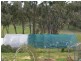 1 Racecreek Road, Young NSW 2594