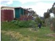 1 Racecreek Road, Young NSW 2594