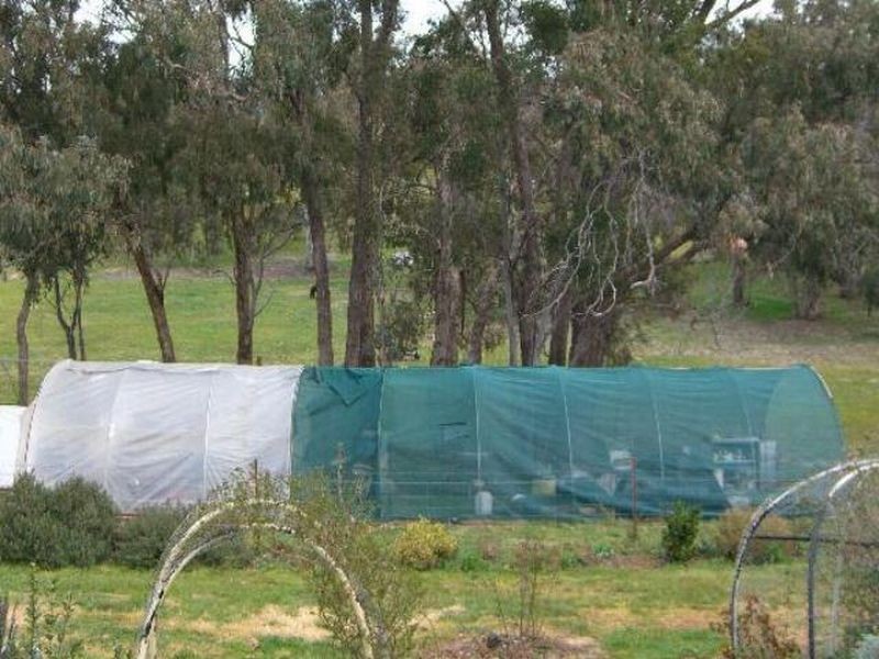 1 Racecreek Road, Young NSW 2594