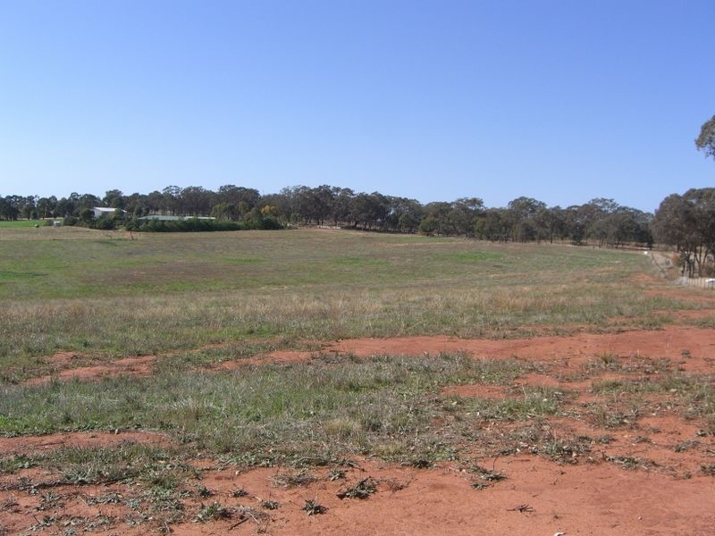 220 Boundary Road, Young NSW 2594