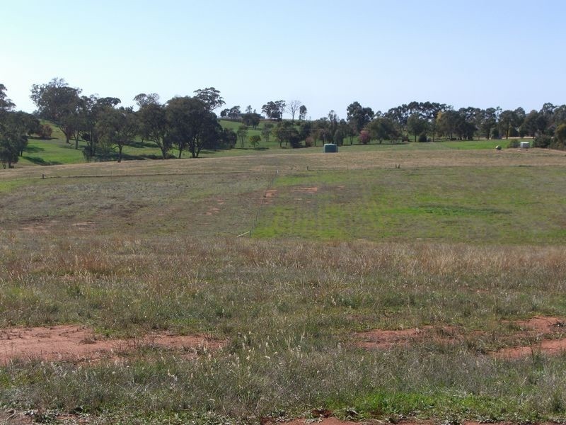 220 Boundary Road, Young NSW 2594