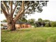 4515 Olympic Hwy South, Young NSW 2594