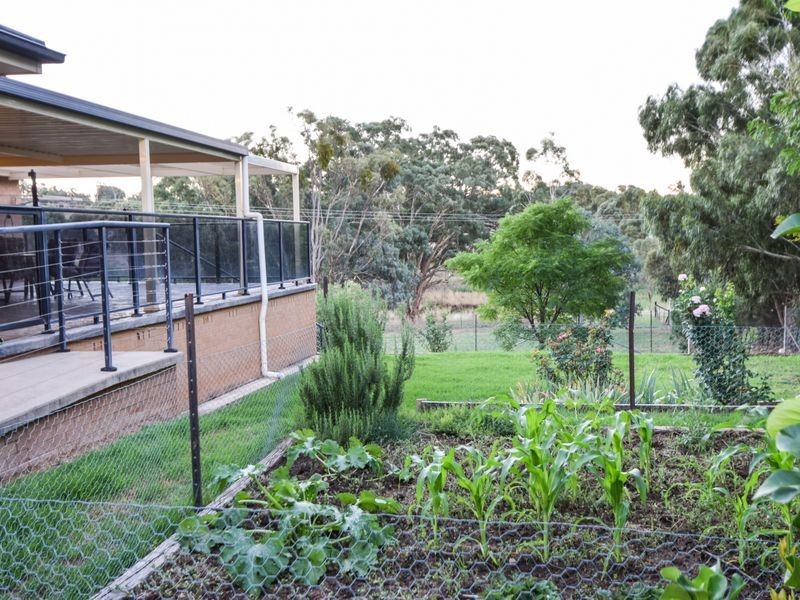 4515 Olympic Hwy South, Young NSW 2594