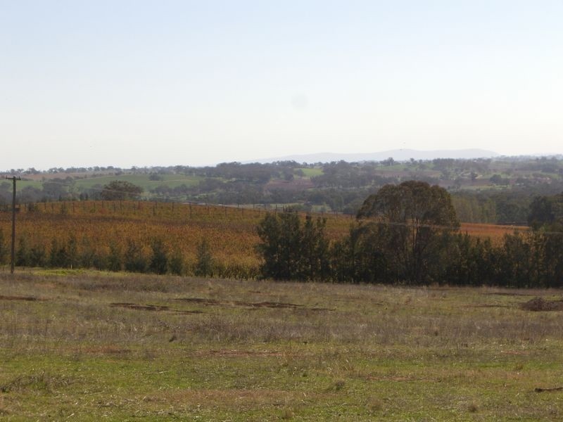 101 Stanley Park Road, Young NSW 2594